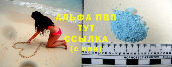 ECSTASY Богданович