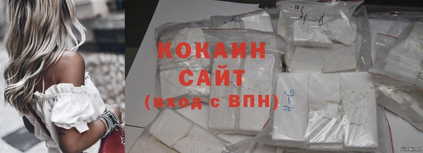 ECSTASY Богданович