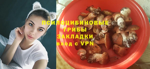 а пвп мука Белокуриха