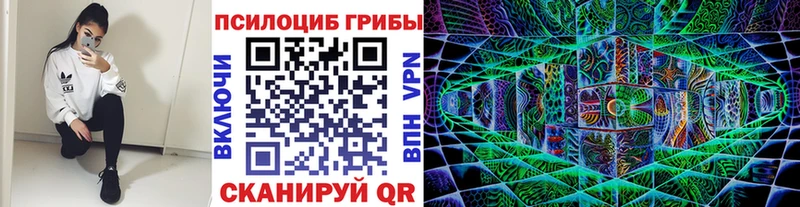 Галлюциногенные грибы GOLDEN TEACHER  Купить где  Кукмор 